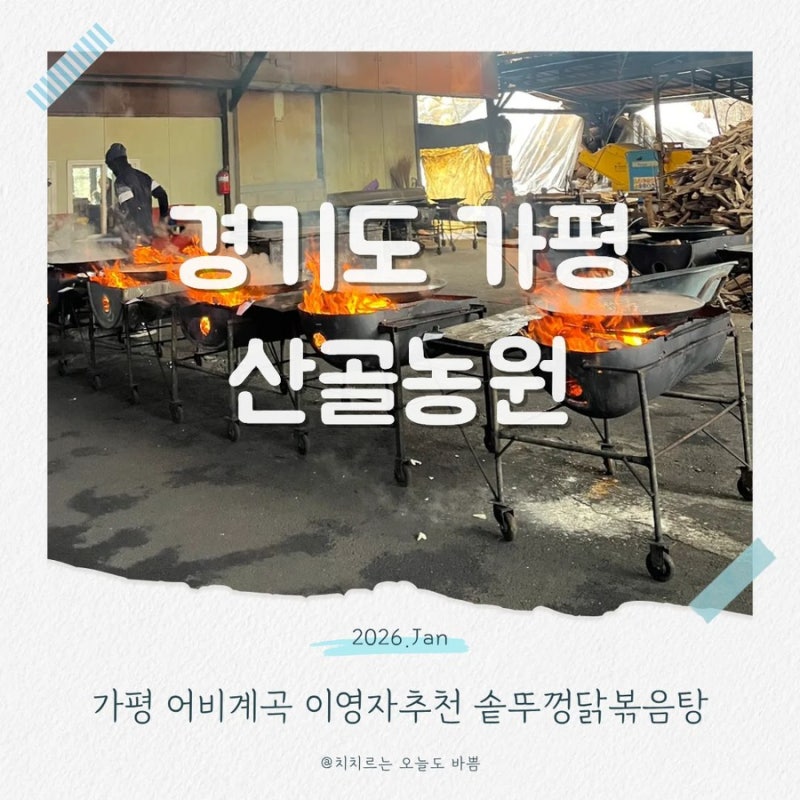 사진 8