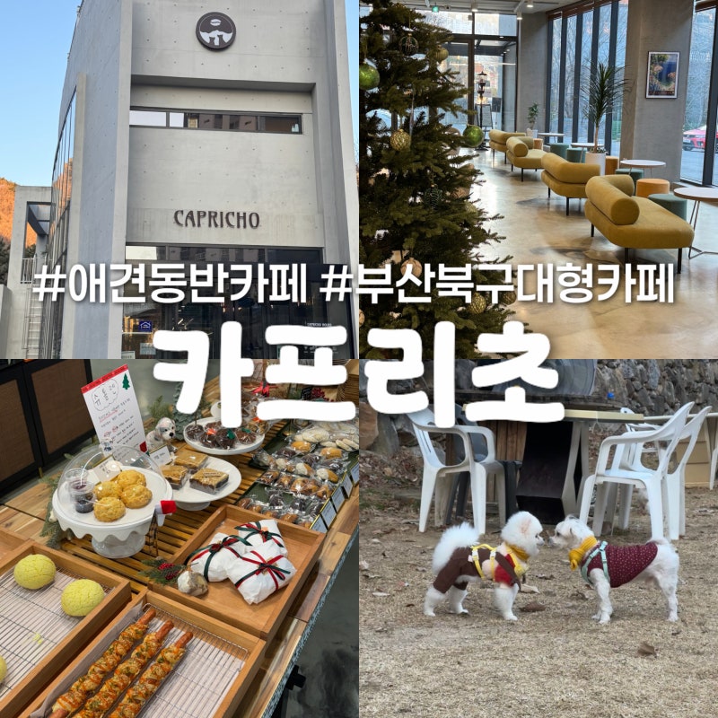 사진 2
