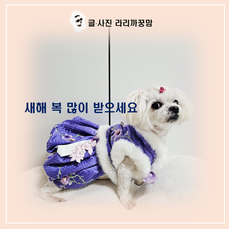  2026년 새해 복 많이 받으세요!