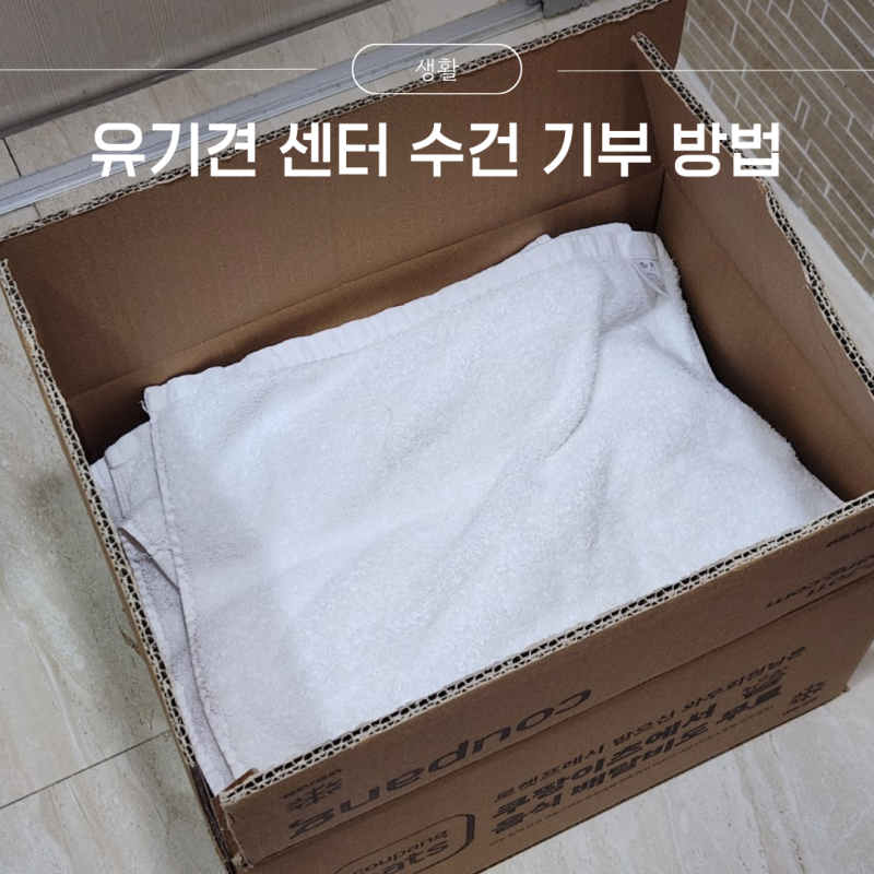 유기견 센터 수건 기부 방법 편의점 방문택배로 보내기