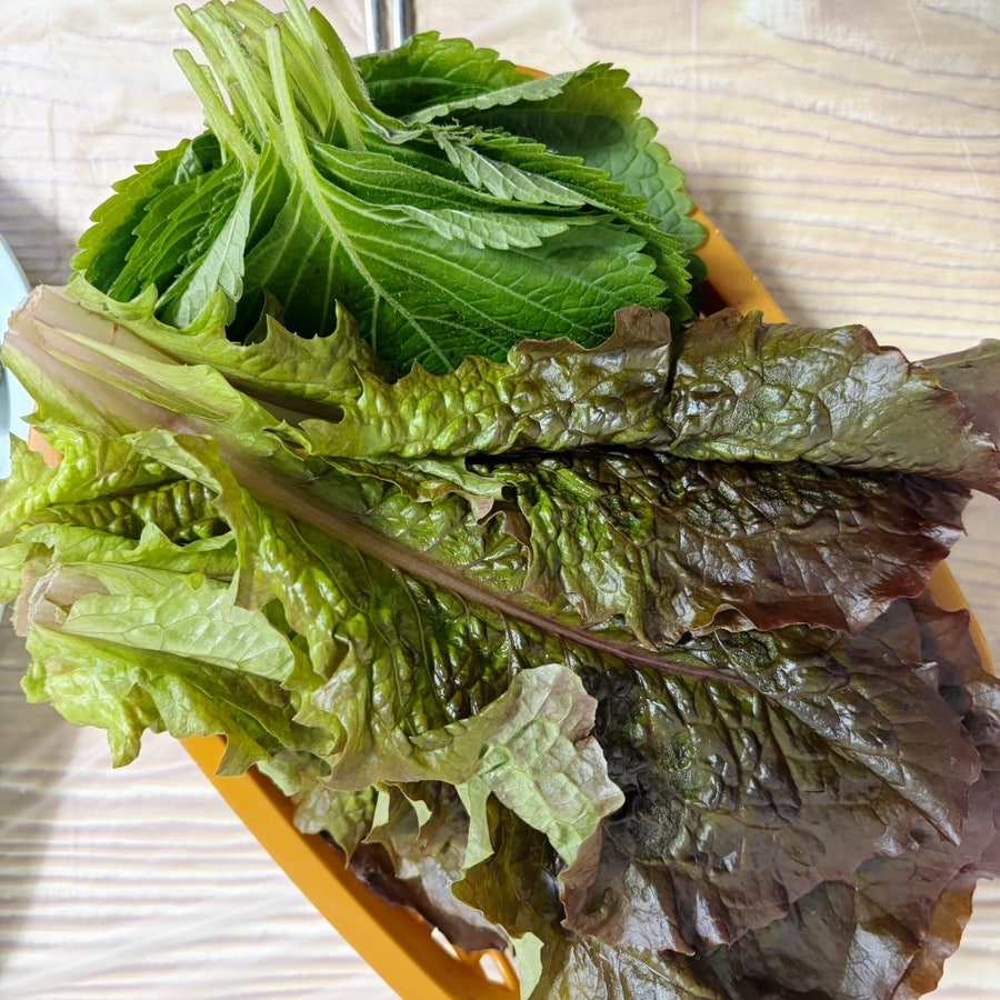 명지초장횟집 사진 5