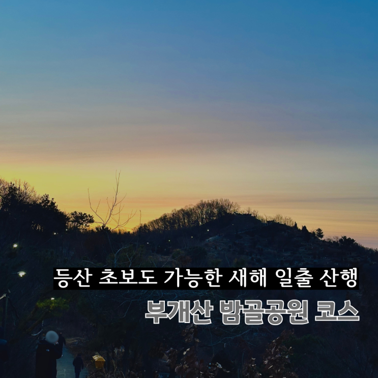  등산 초보도 가능한 새해 일출 산행