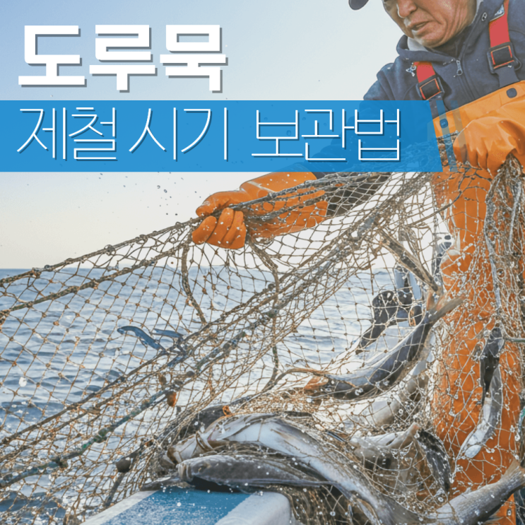  도루묵 제철 시기 기간 보관법