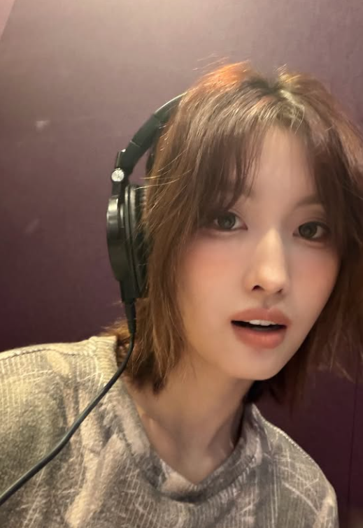 Why Did TWICE Momo Dominate New Year's SNS with Her See-Through Fashion?