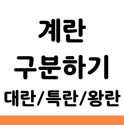  계란 대란 특란 왕란 차이