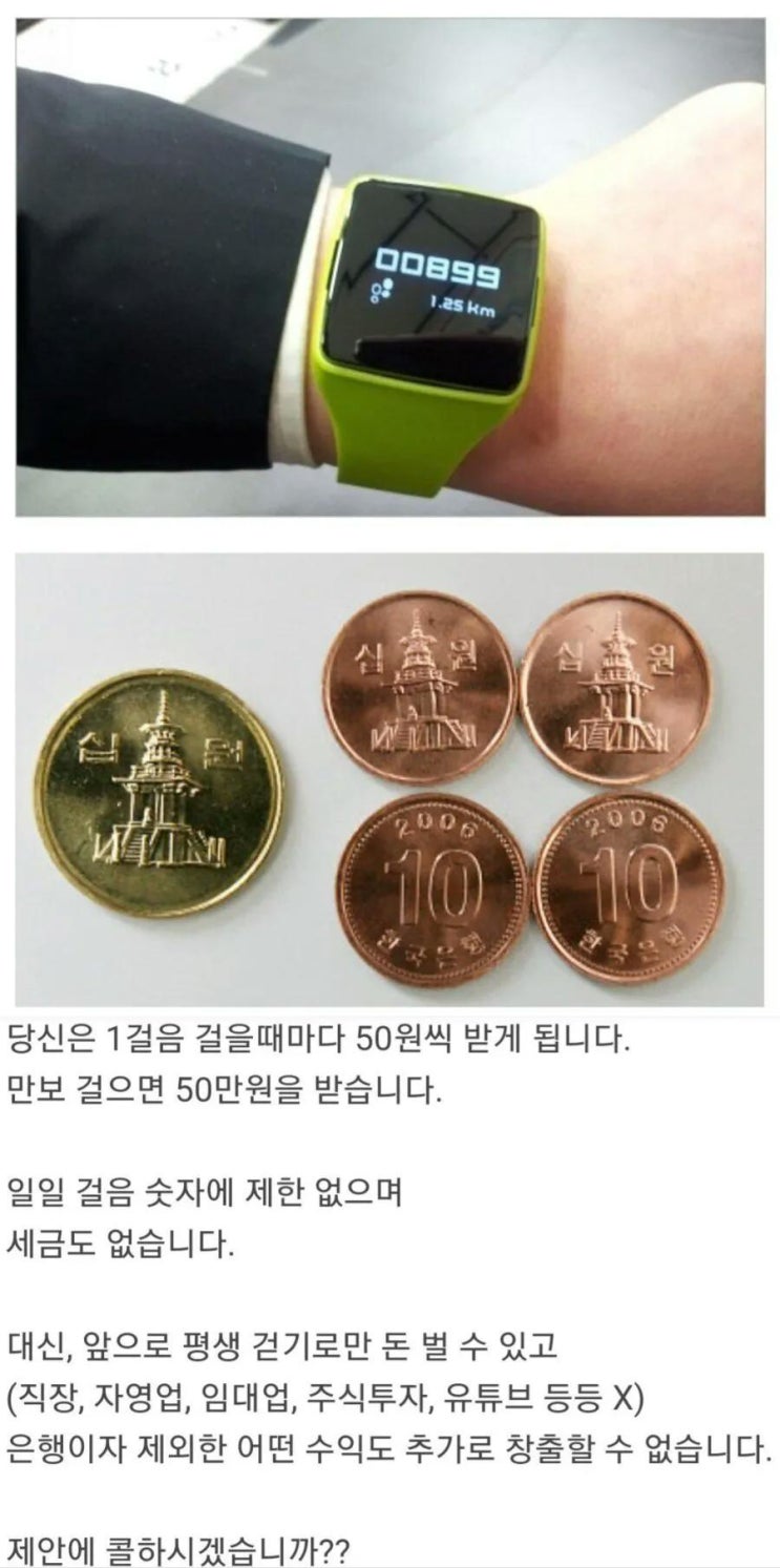  평생 걷기만 해서 돈을 버는 삶, 가능하십니까?