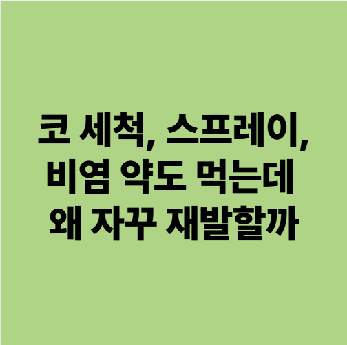  용인 비염 한의원 코 세척, 스프레이, 약도 먹는데 왜 자꾸 재발할까 (동백 자연한의원)