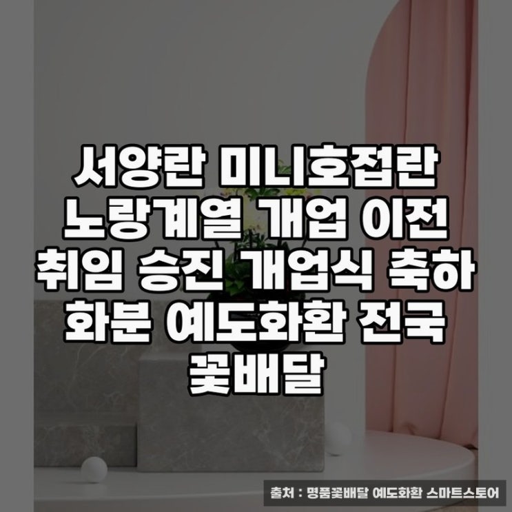  서양란 미니호접란 노랑계열 화환으로 축하하기