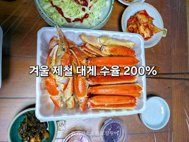  마산 어시장 대게 킹크랩 시세 가격 포장 수율 실화?