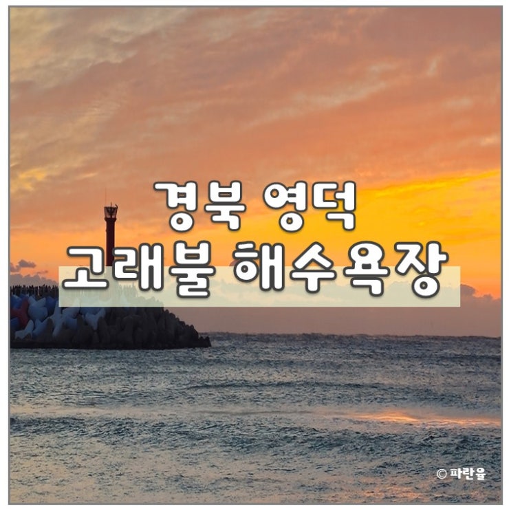  새해 첫 기록 2026 영덕 고래불 해수욕장 해돋이 대구 근교 일출 명소