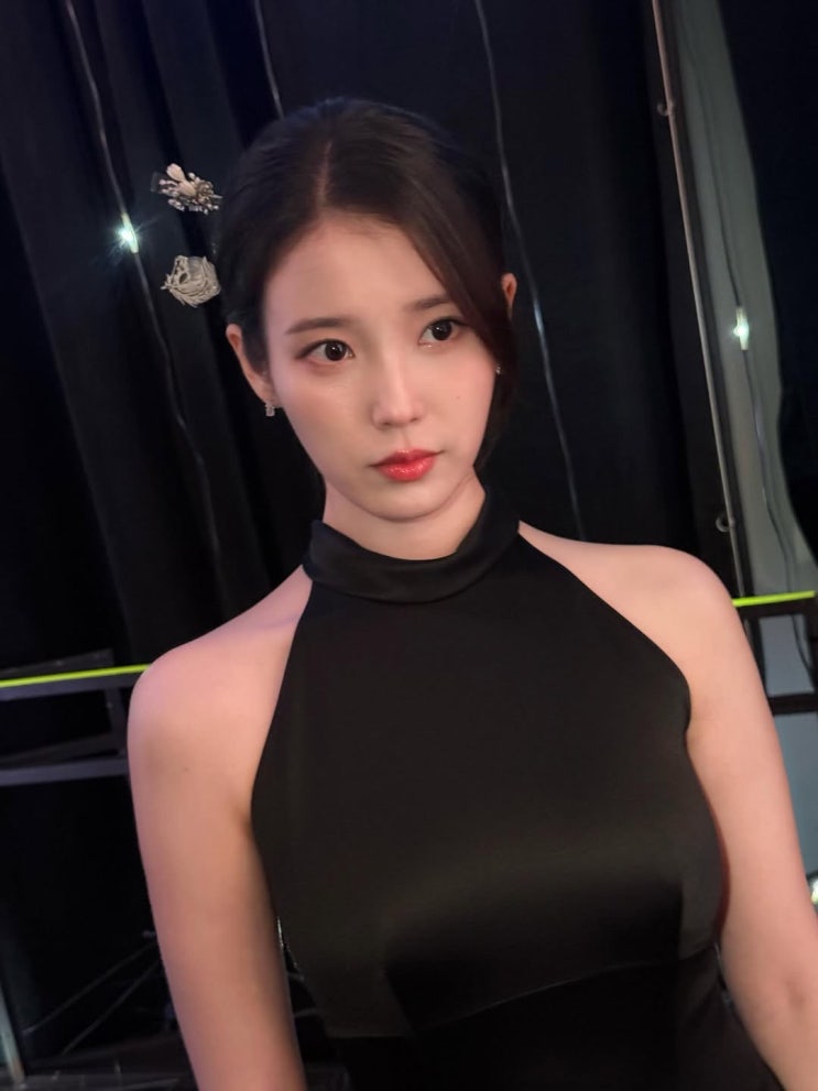  아이유 비녀 패션 포인트? 변우석과 21세기 대군부인 케미