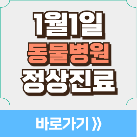 강동동물병원 사진 1