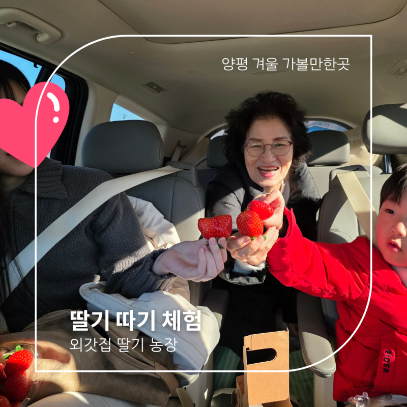 [양평 여행] 양평 외갓집 딸기농장 체험, 달콤했지만 조금은 아쉬웠던 후기