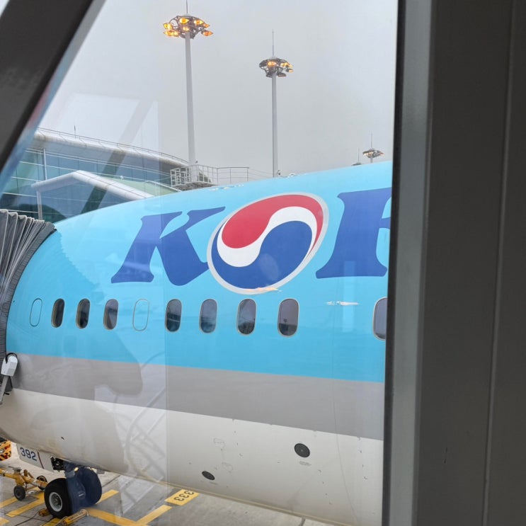 대한항공 임산부 탑승 규정 정리