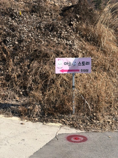 사진 6