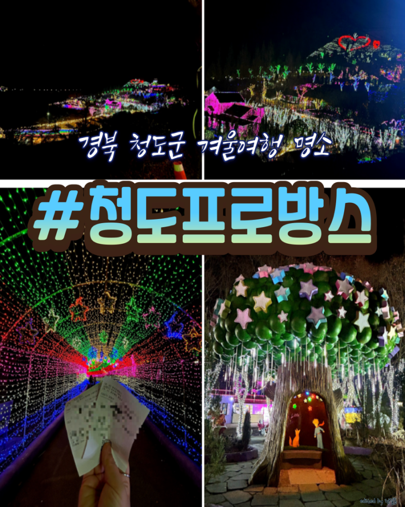 청도 겨울여행 | 청도 프로방스 산타마을 빛축제 후기 (+입장권 할인)