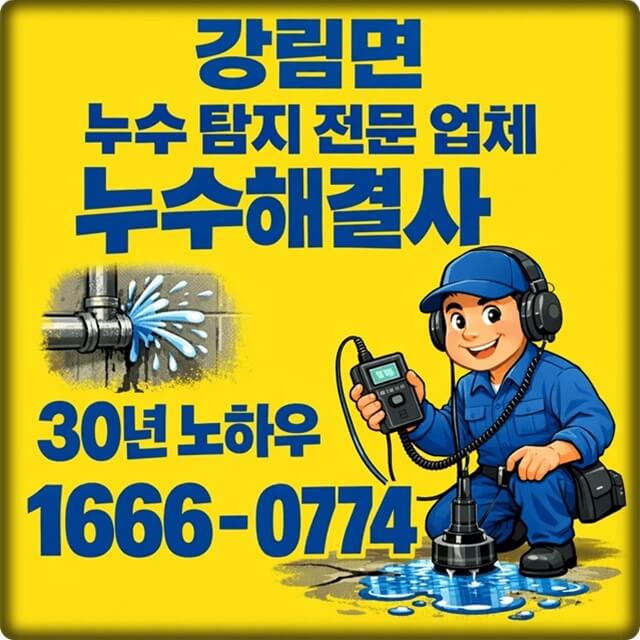  강림면 누수 탐지 전문 업체 주택 및 상가 누수 공사