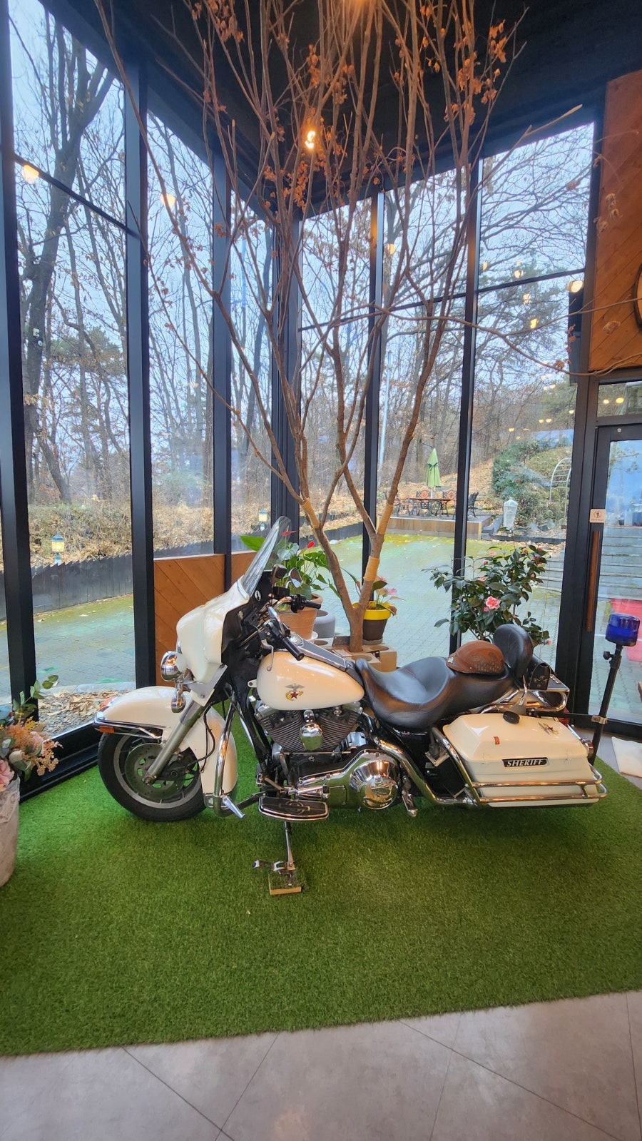 숲속쌍화차 사진 4