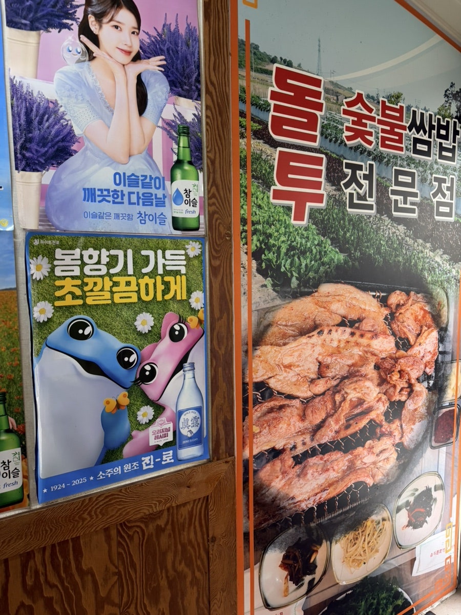 돌투 사진 3