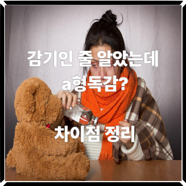  감기인 줄 알았는데 a형독감? 차이점 정리해봤습니다