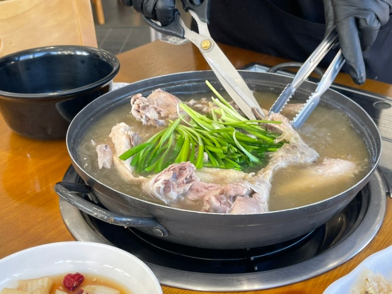 주왕산 청송 맛집 민박촌식당 달기약수 토종닭백숙 몸보신으로 최고야
