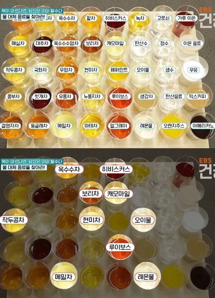  물 대신 마실수 있는 음료.jpg