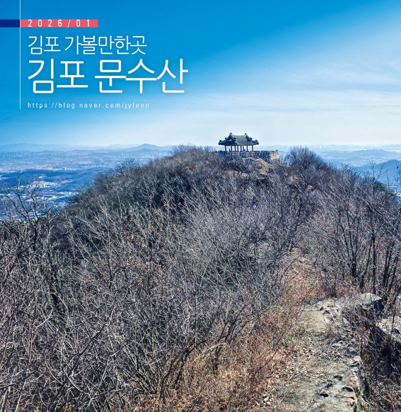 사진 9