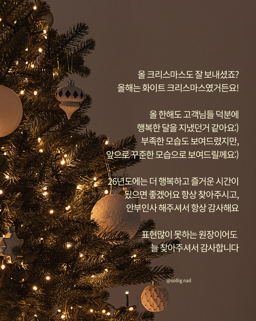 솔링네일 사진 4