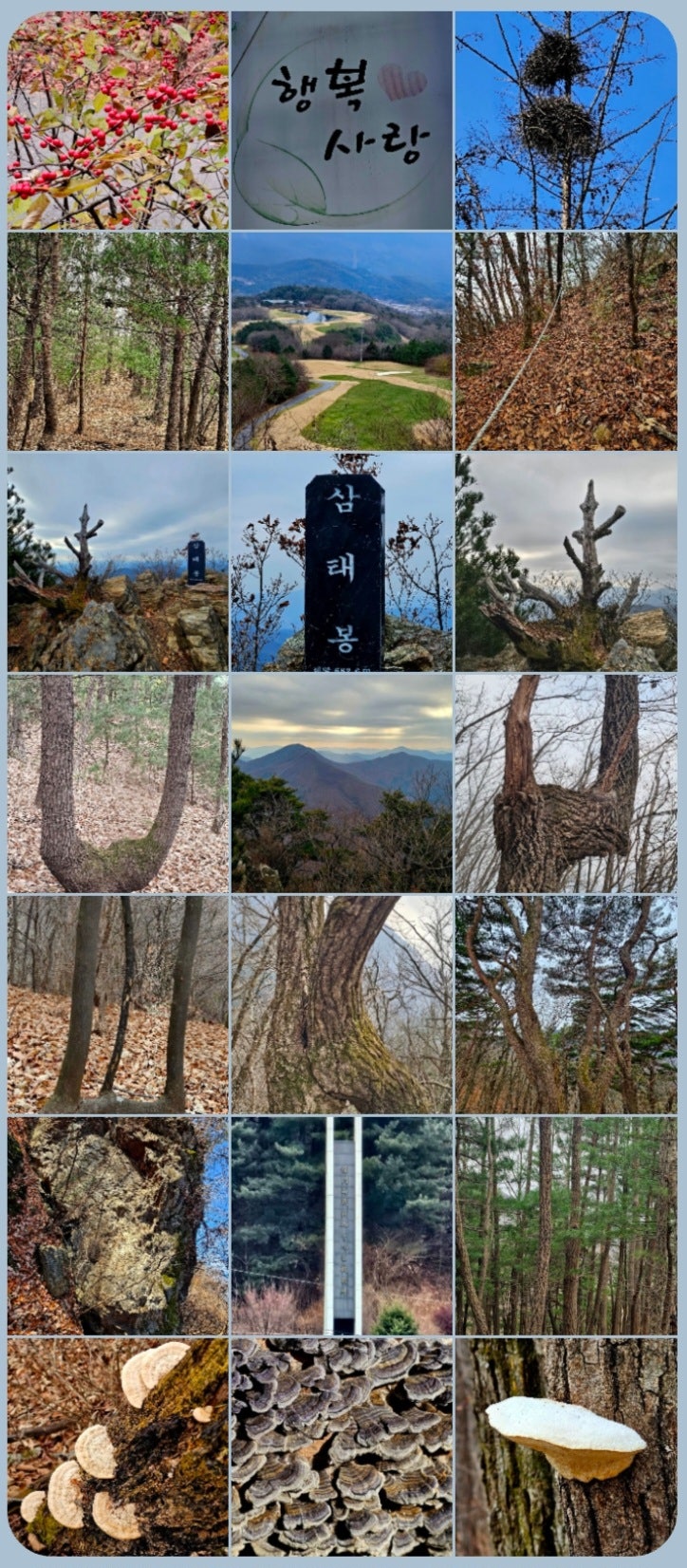 가평연리지펜션 사진 1