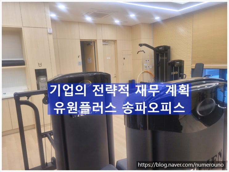 기업의 전략적 재무 계획, 유원플러스 송파오피스