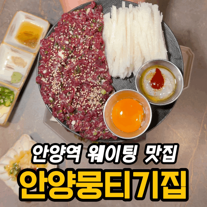  안양역 맛집 안양뭉티기집 후기｜당일도축 뭉티기·육회·차돌오드레기