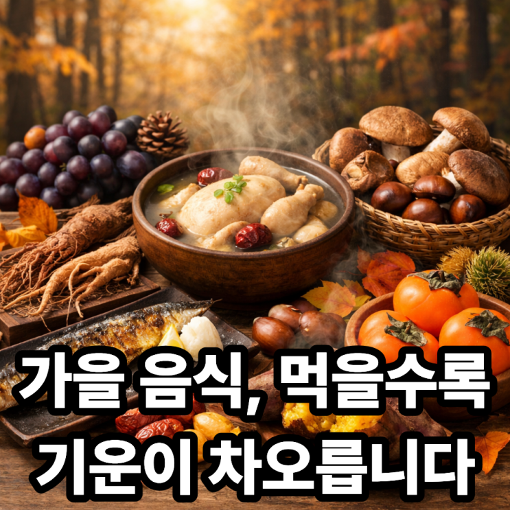   가을 제철음식이 체력 회복에 좋은 이유｜떨어진 기운을 채우는 가장 자연스러운 방법