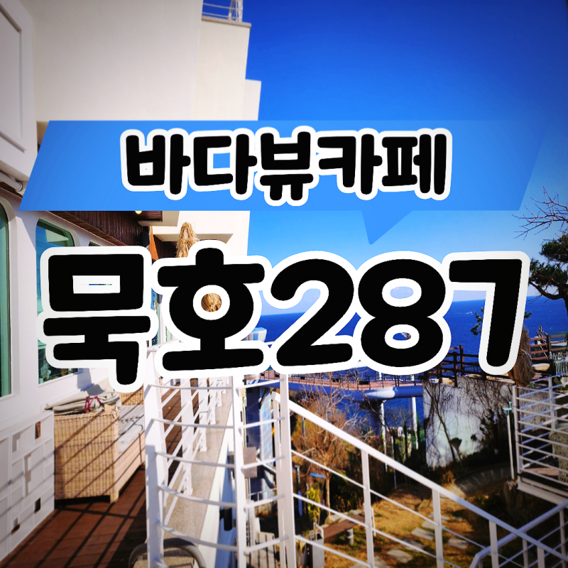 사진 3