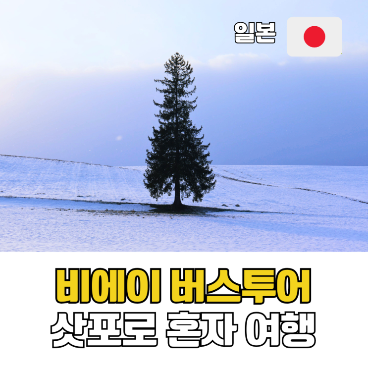  삿포로 여자 혼자 여행 엔데이트립 비에이 후라노 버스투어