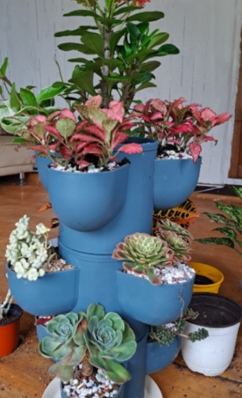 일상이 풍성하고 행복해지는 반려식물용품 전문 쇼핑몰 !