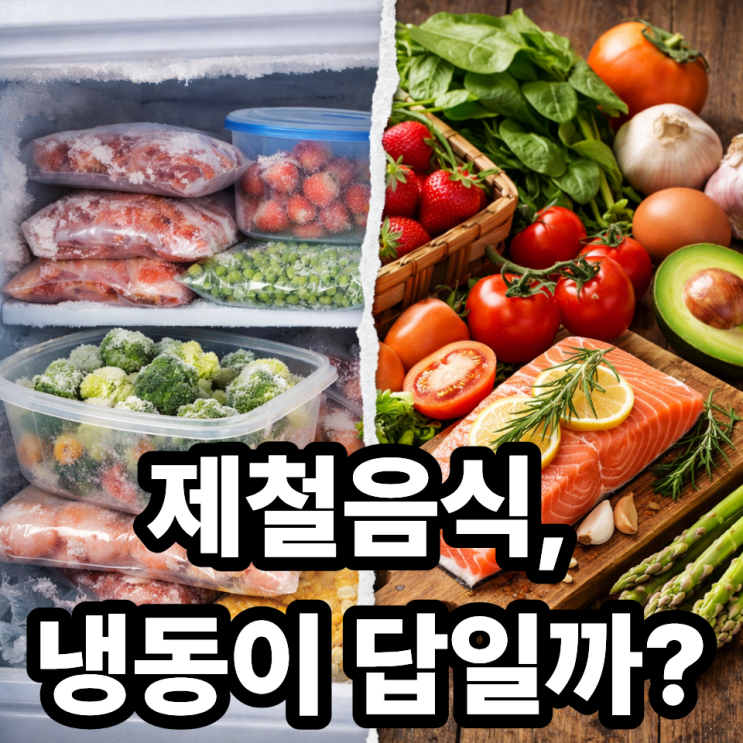  냉동 vs 생재료, 제철음식 보관법 차이｜신선함 오래 지키는 방법 총정리