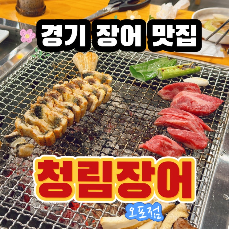  장어와 소갈비를 한번에?! 청림장어 오포점 경기장어맛집 인정!