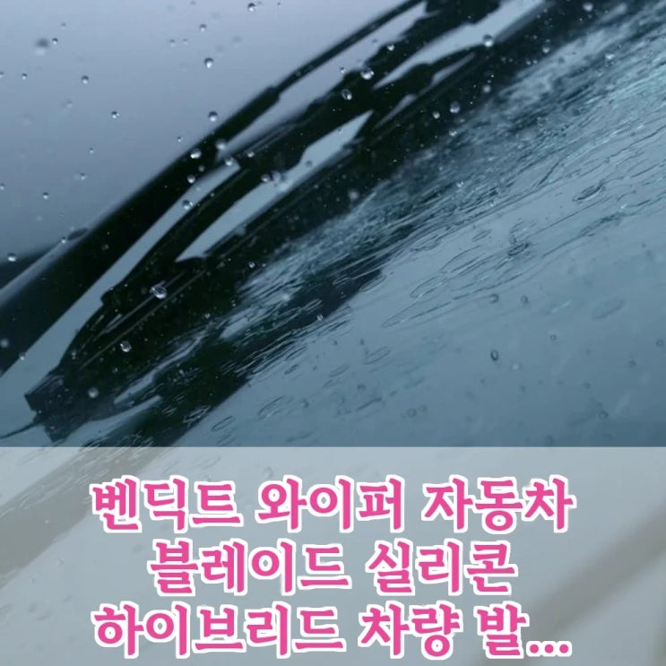  벤딕트 와이퍼, 이 성능에 리필까지? 가성비 끝판왕 등장!