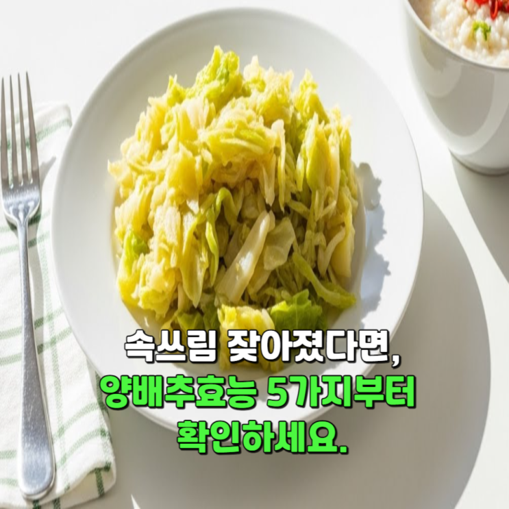  속 쓰림 잦아졌다면, 양배추효능 5가지부터 확인하세요.
