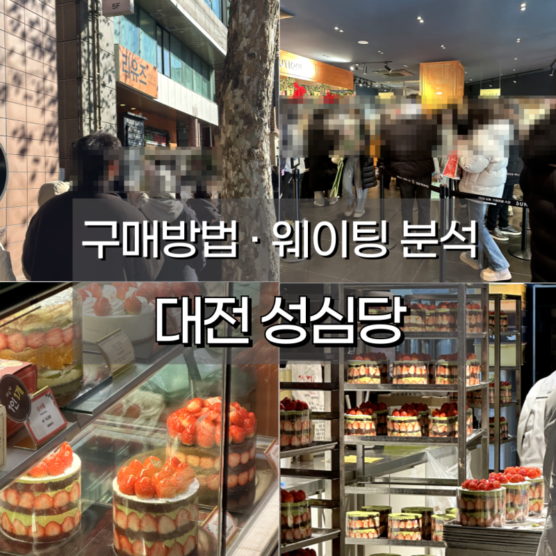 대전 성심당 딸기시루 말차시루 구매방법, 본점 웨이팅 비교 분석 후기