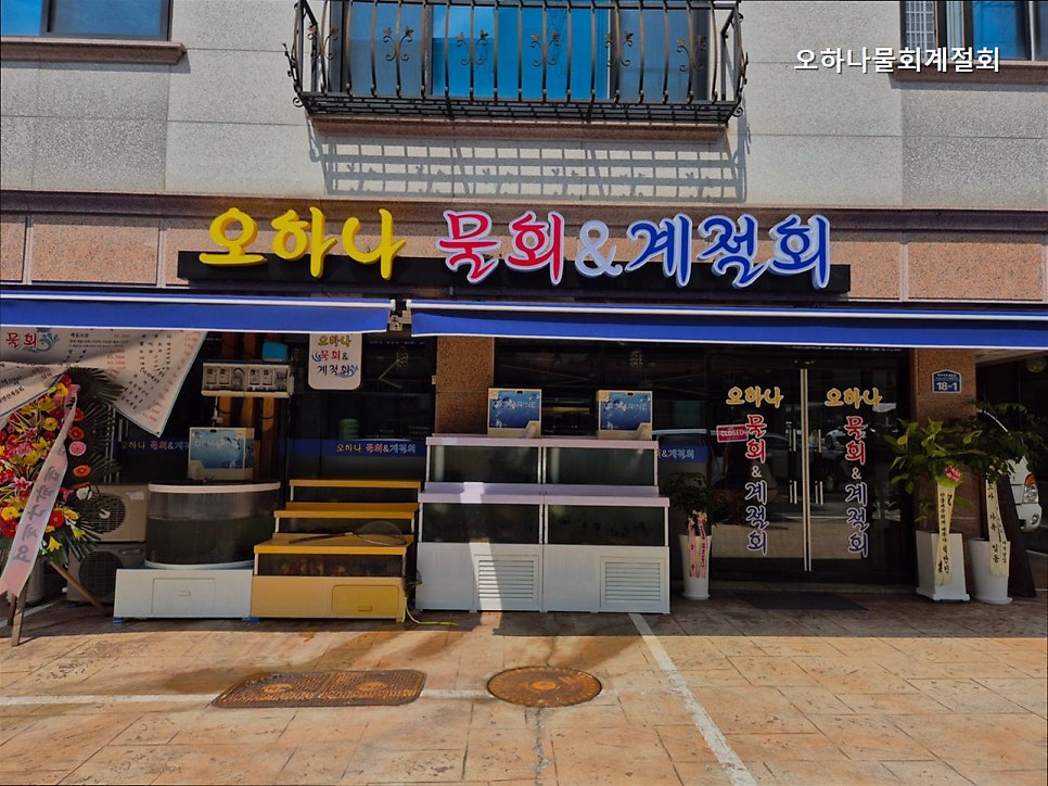 오하나물회&계절회 사진 2