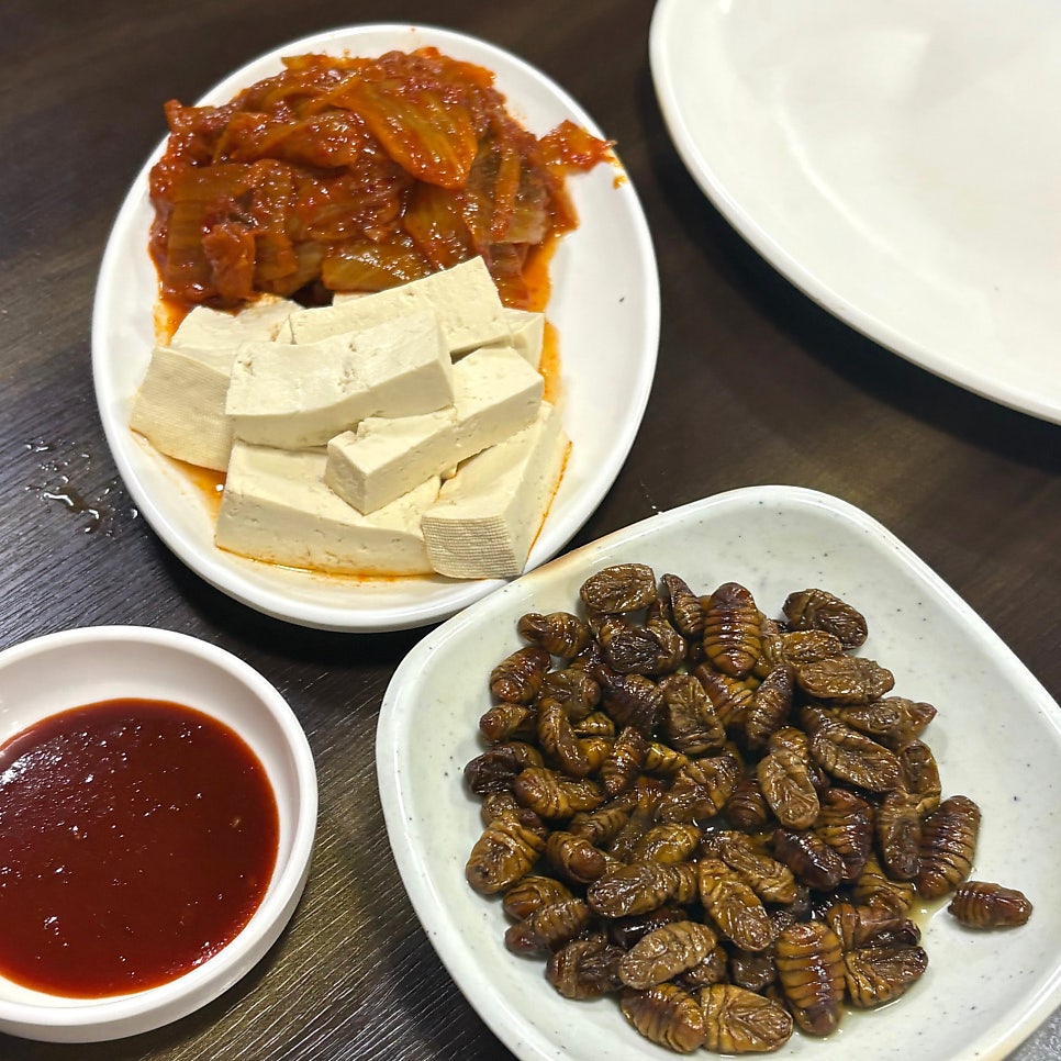 섬마을 사진 6