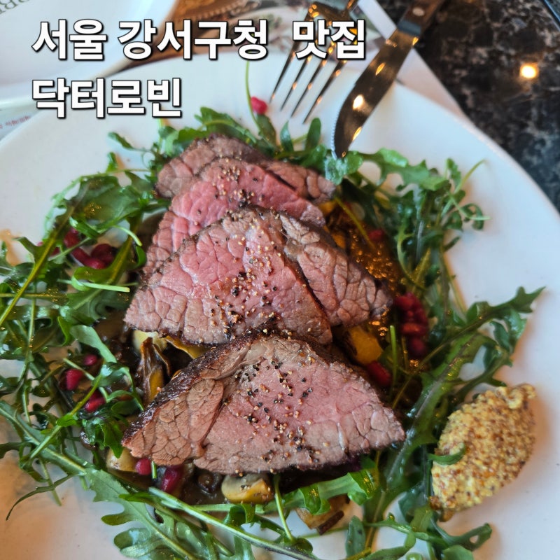 서울 강서구청 맛집 모임장소 닥터로빈 주차 가능
