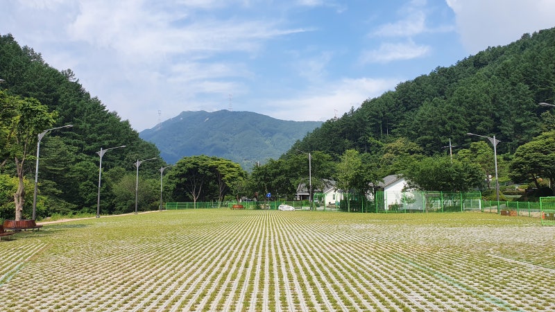 사진 5