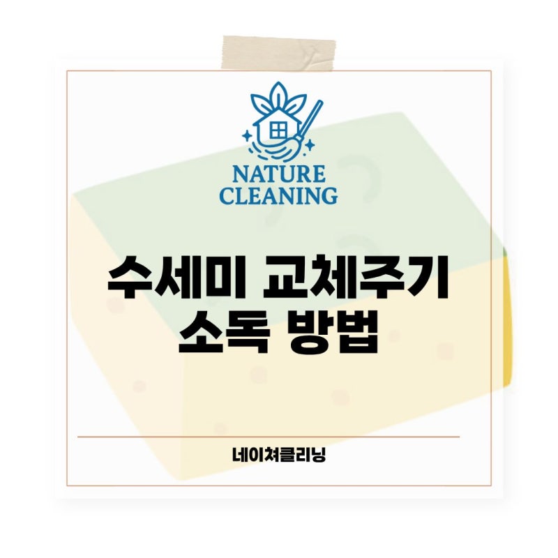 수세미 교체주기 전자렌지 소독으로 오래쓰는법