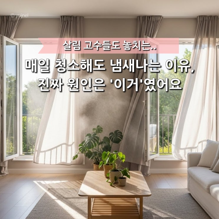  분명 매일 청소하는데.. 주부들이 가장 많이 놓치는 '집 냄새 진짜 원인'
