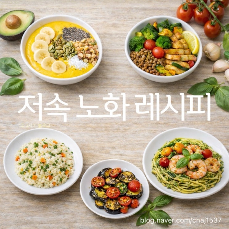 다이어트 레시피 저속 노화 레시피