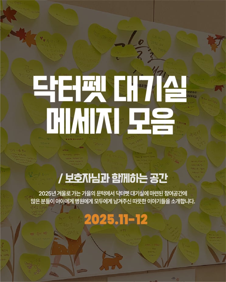  닥터펫동물의료센터 대기실 담벼락 메세지 모음 2025년 11-12월 부산 서면 24시 동물병원