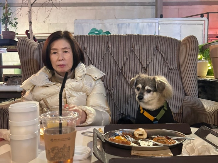  2026년 1월 1일, 그리고 새해 첫 출근을 한 강단풍