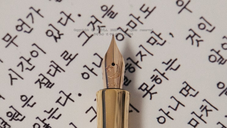 듣기는 하지만 말로 옮길 수 없다, 음악처럼. (만년필로 필사하는 보르헤스)